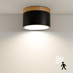 QHENS LED stropna svetilka s senzorjem gibanja 12W