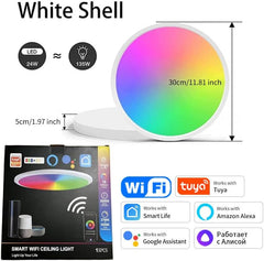 EREGOU Pametna LED Stropna Svetilka 24 W RGB: WiFi, Alexa, Google Assistant