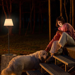 AMDELNE brežzžična zunanja RGB solarna talna svetilka z daljinskim upravljalnikom