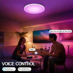 EREGOU Pametna LED Stropna Svetilka 24 W RGB: WiFi, Alexa, Google Assistant