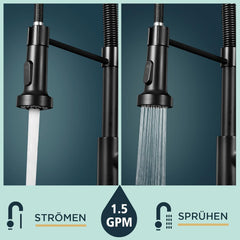 FORIOUS kuhinjska armatura z izvlečno prho in dvema načinoma pršenja - mat črna