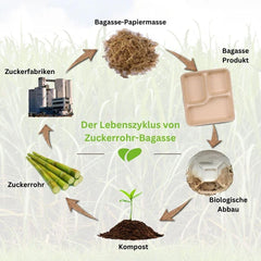 50x GREENKAUFEN kompostabilni krožniki iz bagase s 3 razdelki