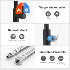 RAINSWORTH izvlečna pipa z dvema načinoma curka