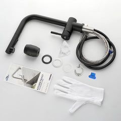 AURALUM kuhinjska armatura z izvlečno prho – mat črna