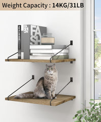 PETRALA Lesena stenska viseča polica z metalnimi nosilci