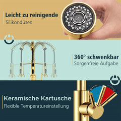 FORIOUS kuhinjska armatura z izvlečno prho - brušeno zlata