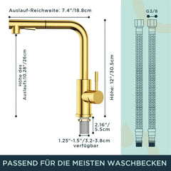 FORIOUS Kuhinjska Armatura Z Izvlečno Pršno Glavo In Dvojnim Načinom Delovanja - brušeno zlato