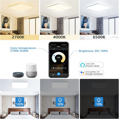 EREGOU pametna LED stropna svetilka 24W 2400lm, WiFi