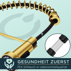 FORIOUS kuhinjska armatura z izvlečno prho - brušeno zlata