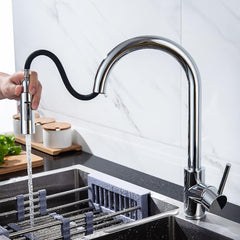 PUDAOO kuhinjska pipa z izvlečno in vrtljivo prho