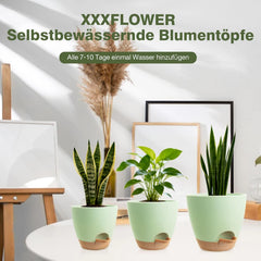 XXXFLOWER Komplet 5 samozalivalnih lončkov za rože