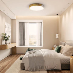 KAMBO 30 cm LED stropna svetilka 24 W 4500 K