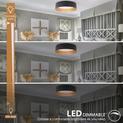 BARGENI 32cm LED stropna svetilka 18 W