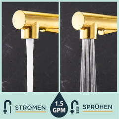 FORIOUS Kuhinjska Armatura Z Izvlečno Pršno Glavo In Dvojnim Načinom Delovanja - brušeno zlato