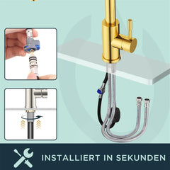 FORIOUS Kuhinjska Armatura Z Izvlečno Pršno Glavo In Dvojnim Načinom Delovanja - brušeno zlato