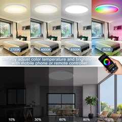 EREGOU Pametna LED Stropna Svetilka 24 W RGB: WiFi, Alexa, Google Assistant