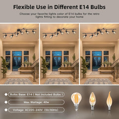 DEHOBO nastavljiva LED stropna svetilka s šestimi reflektorji