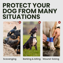 BRONZEDOG nastavljiv kovinski nagobčnik za velike pse z usnjenimi trakovi in zračno konstrukcijo iz jekla