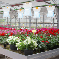 YIMOMOYI Samodejni namakalni sistem z infuzijskimi vrečkami – komplet 4 kosov (3,5 L)