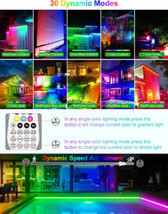 CLY 25 W RGB LED reflektor z daljinskim upravljalnikom