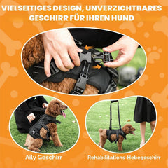 BENCMATE XL 2-v-1 podporna oprsnica za velike pse do 45 kg