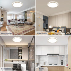 BESTLUZ 42 cm LED stropna luč 24 W 4000 K
