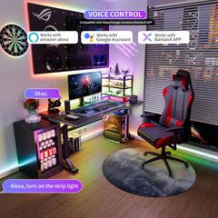 OULARA pametni RGB+IC USB LED trak z Alexa/Google 2m