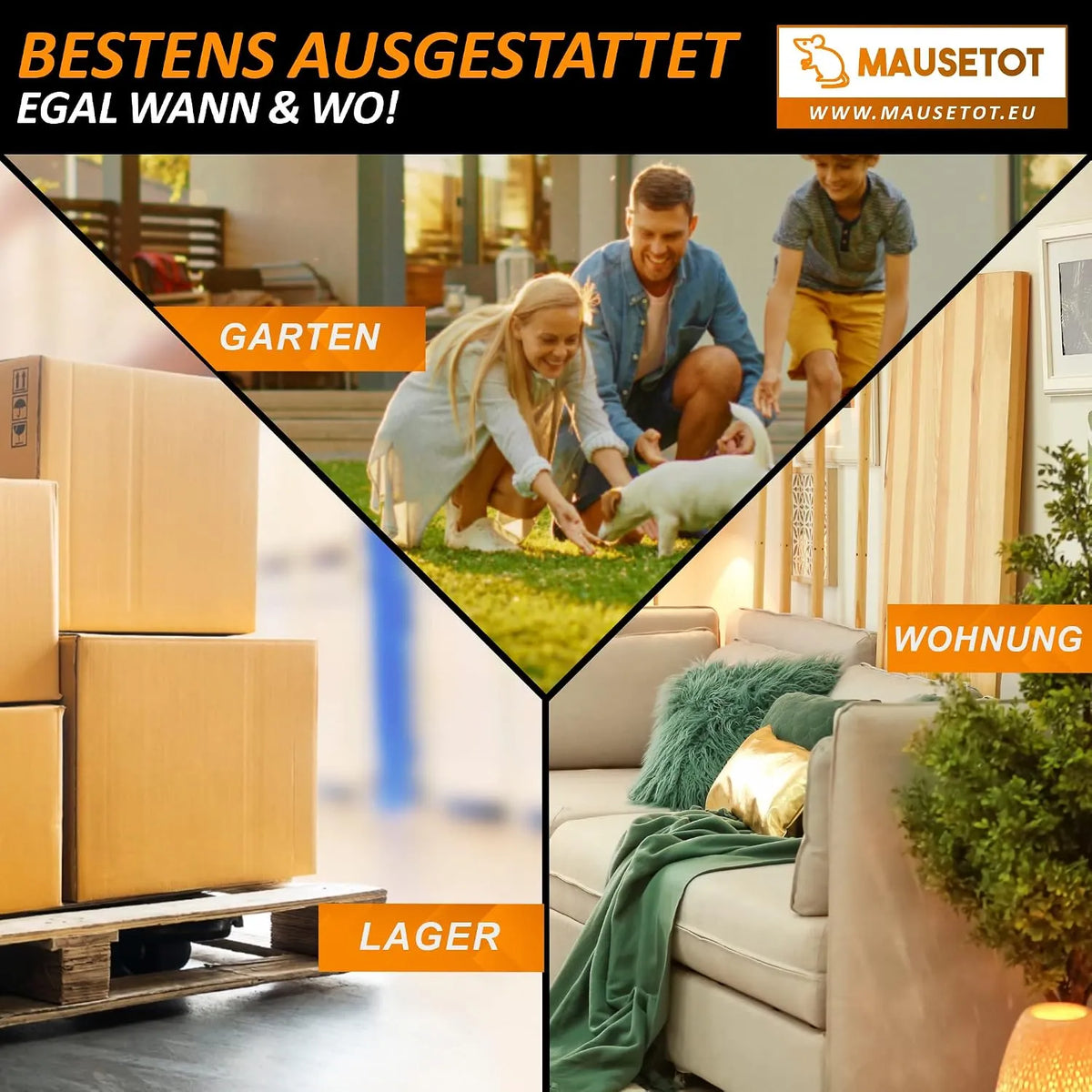 CS Light Mišelovka 8 Kosov