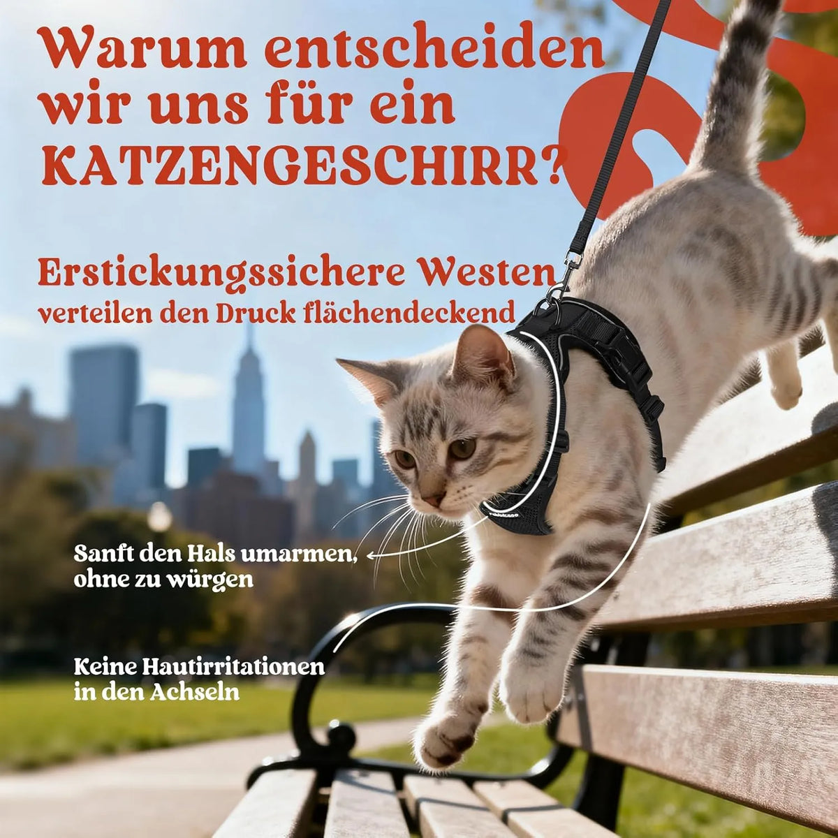 GLOBEGOU Mačja Oprsnica s Povodcem
