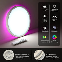 Shenzhen E-Lover Technology LED Stropna Svetilka 30 cm