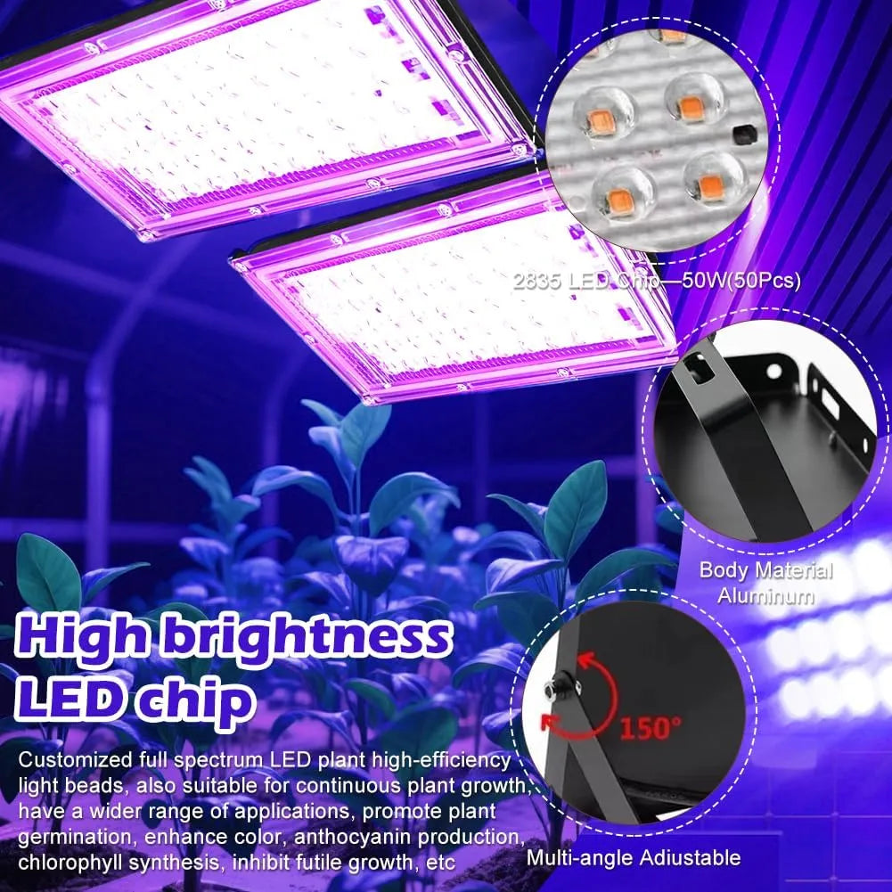UV LED Reflektor Črna Luč 50W, 2 Kosa