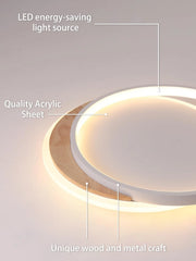 FANLG 40 cm LED stropna svetilka