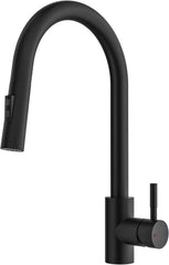 RAINSWORTH izvlečna pipa z dvema načinoma curka