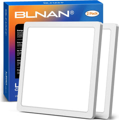 2x BLNAN 22 cm LED stropna svetilka 18 W