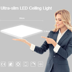 EREGOU pametna LED stropna svetilka 24W 2400lm, WiFi