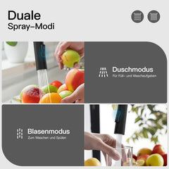 RAINSWORTH izvlečna pipa z dvema načinoma curka