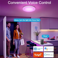 HEYESEVEN LED stropna svetilka RGB pametna Alexa/Google
