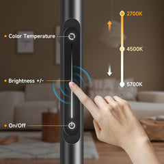 ANYTS  fleksibilna talna svetilka z nastavljivo svetlostjo