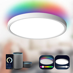 ANTENLICHT Pametna LED stropna svetilka 24W
