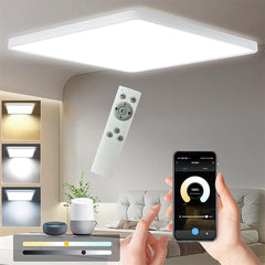 EREGOU pametna LED stropna svetilka 24W 2400lm, WiFi