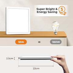 2x BLNAN 22 cm LED stropna svetilka 18 W