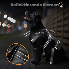 BENCMATE XL 2-v-1 podporna oprsnica za velike pse do 45 kg