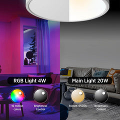 ANTENLICHT Pametna LED stropna svetilka 24W
