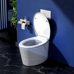 RAINSWORTH toaletni pokrov z mehkim zapiranjem in antibakterijsko površino