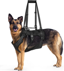 BENCMATE XL 2-v-1 podporna oprsnica za velike pse do 45 kg