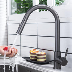 PUDAOO kuhinjska pipa z izvlečno in vrtljivo prho