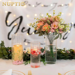 NUPTIO komplet 5 cilindričnih steklenih vaz za sveče