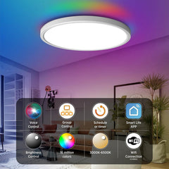 ANTENLICHT Pametna LED stropna svetilka 24W