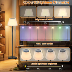 AMDELNE brežzžična zunanja RGB solarna talna svetilka z daljinskim upravljalnikom