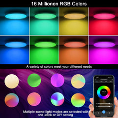 EREGOU Pametna LED Stropna Svetilka 24 W RGB: WiFi, Alexa, Google Assistant